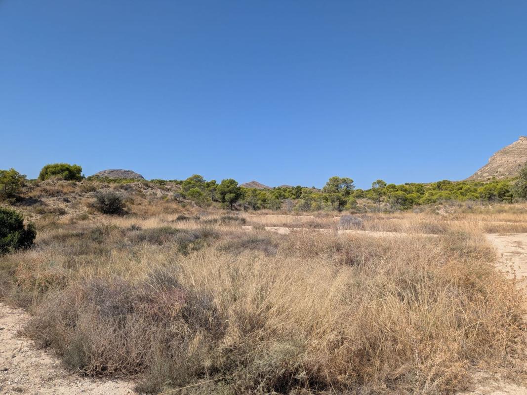 Działka na sprzedaż w Mutxamel, Alicante photo 3