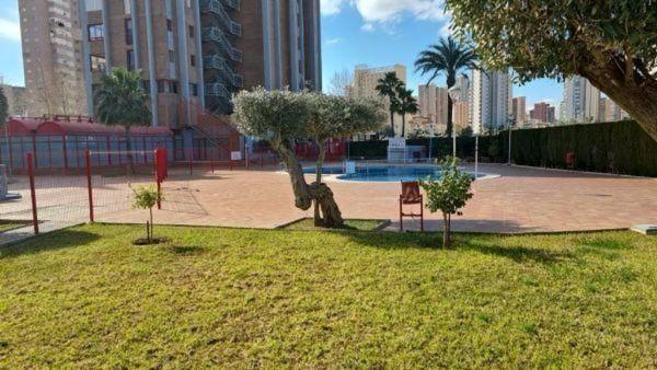 Sale of flat in Piso en Avenida Juan Fuster Zaragoza, Zona Rincón Bajo, Benidorm, Benidorm
thumbnail 3