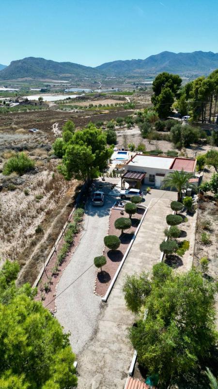 Properties for sale and rent in Spain photo 5
