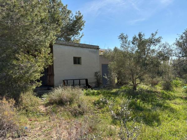 Casa o chalet independiente en El Altet - Balsares, Elche / Elx photo 1