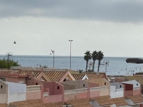 Casa o chalet independiente en Playa de los Locos, Torrevieja thumbnail 2