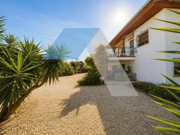 Casa o chalet independiente en Los Girasoles, San Vicente del Raspeig thumbnail 3