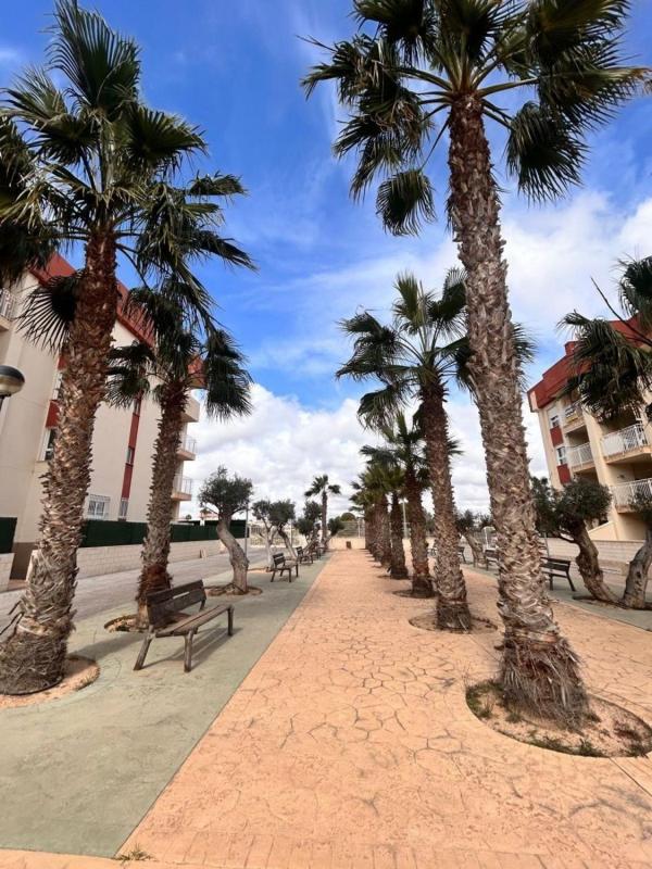 Продажа квартиры на Piso en Lomas de Cabo Roig, Orihuela, Ориуэла
 photo 3
