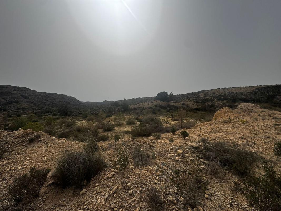 Terreno en venta en Agost, Alicante photo 2
