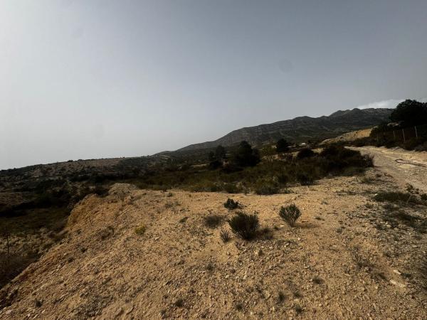 Terreno en Partida Sarganella, 51, Agost photo 3