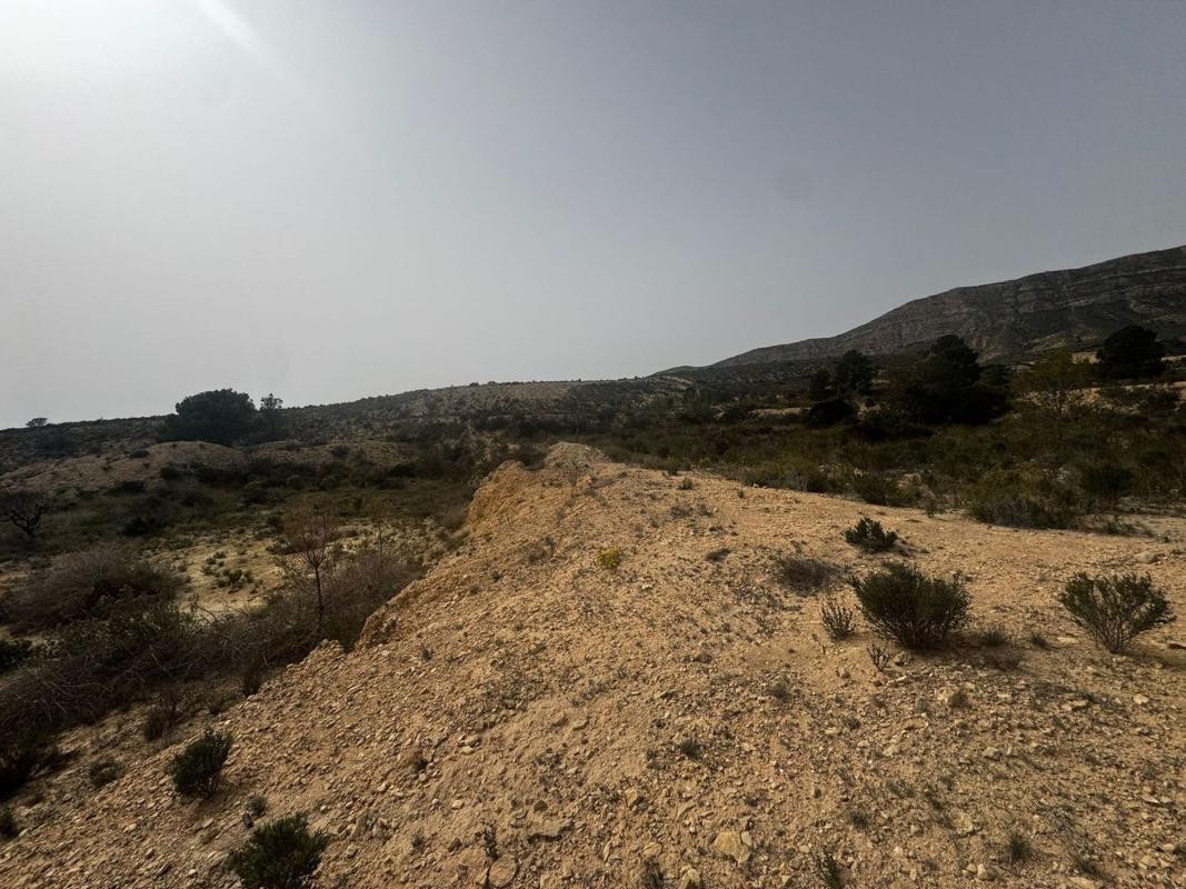 Terreno en venta en Agost, Alicante photo 5
