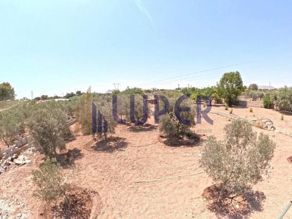Terreno en Villamontes-Boqueres, San Vicente del Raspeig photo 3