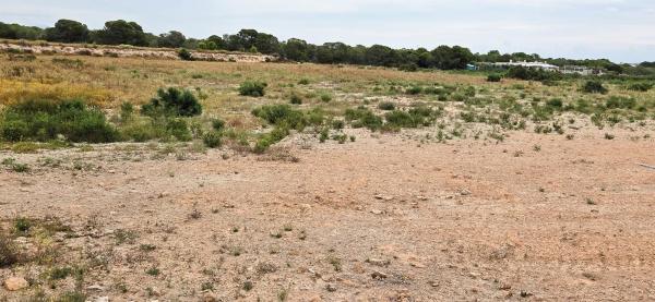 Terreno en Valverde, Elche / Elx thumbnail 2