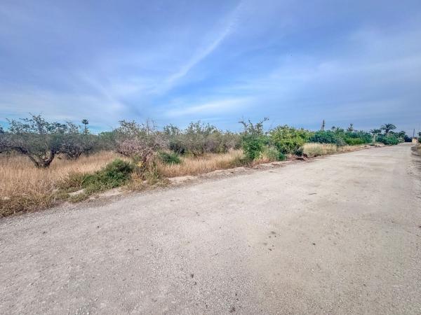 Terreno en Partida Matola, Algoda-Matola-Llano de San José, Elche / Elx photo 2