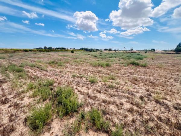 Terreno en Valverde, Elche / Elx photo 1