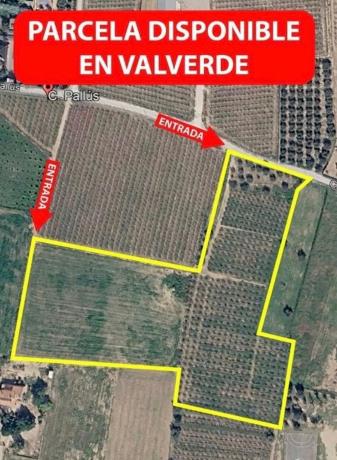 Terreno en Valverde, Elche / Elx photo 2