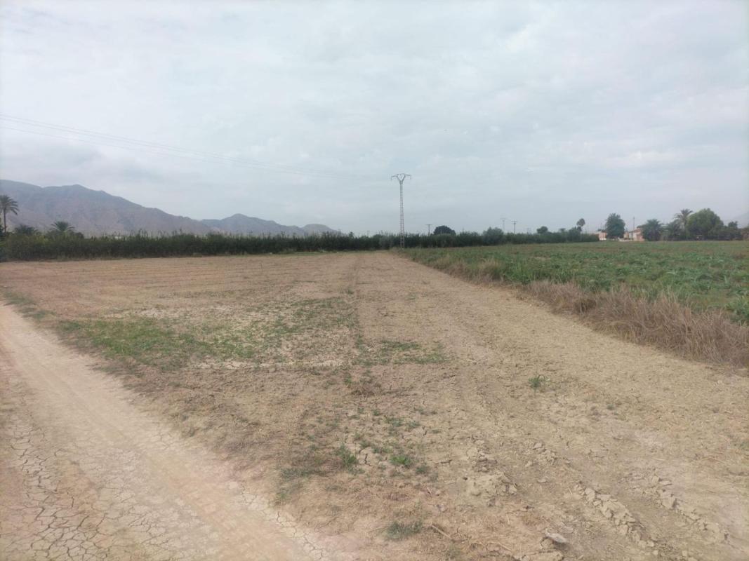 Terreno en venta en Granja de Rocamora, Alicante photo 1