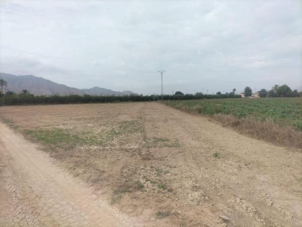 Terreno en Granja de Rocamora photo 1