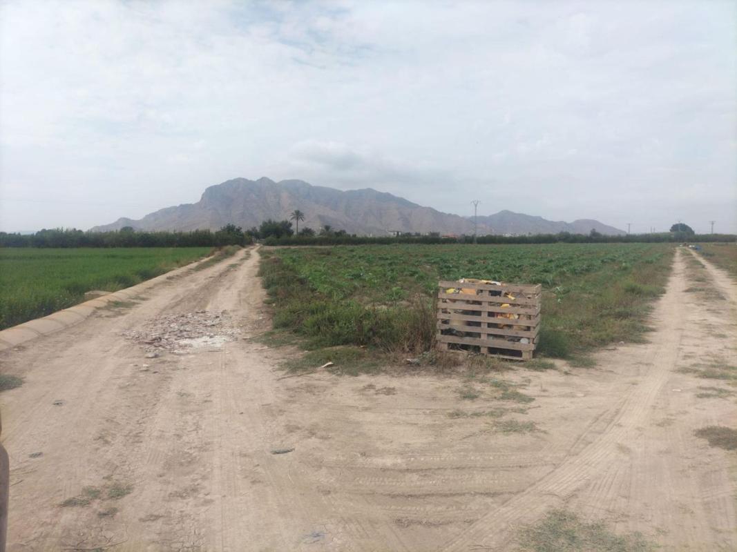 Terreno en venta en Granja de Rocamora, Alicante photo 2