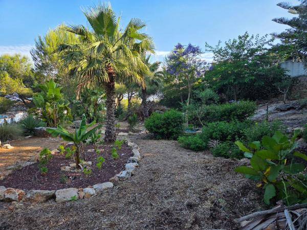 Terreno en Calle Picasso, 118, Rafol de Almunia photo 1