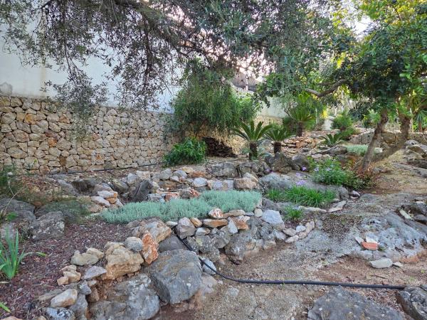 Terreno en Calle Picasso, 118, Rafol de Almunia photo 3