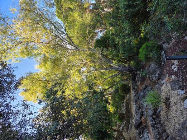Terreno en Calle Picasso, 118, Rafol de Almunia photo 4