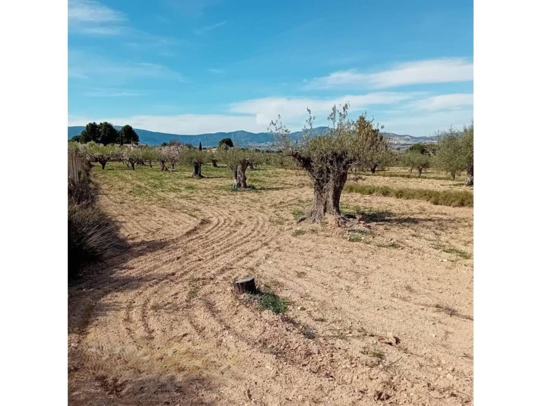 Land for sale in Ibi, Alicante photo 5