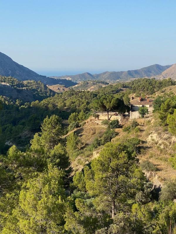 Продажа загородного участка в  Finca rústica en Orxeta , Орхета photo 3
