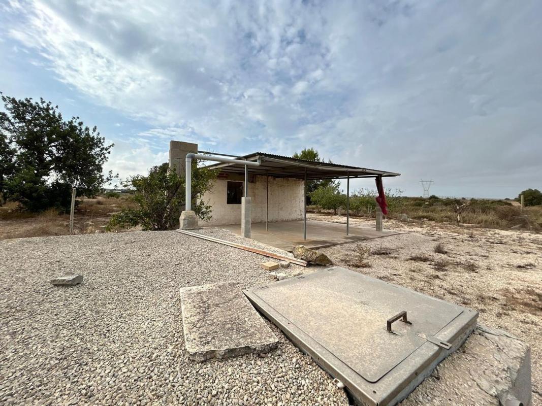 Sale of rural property in  Finca rústica en La Marina, Elche / Elx , Elche / Elx photo 2