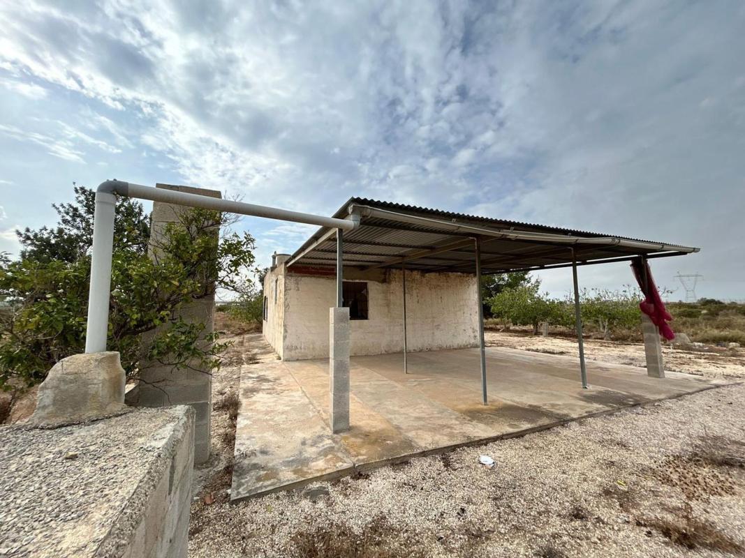 Sale of rural property in  Finca rústica en La Marina, Elche / Elx , Elche / Elx photo 3
