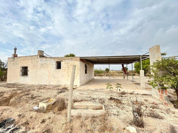 Rustic farm for sale in  Finca rústica en La Marina, Elche / Elx , Elche / Elx photo 4