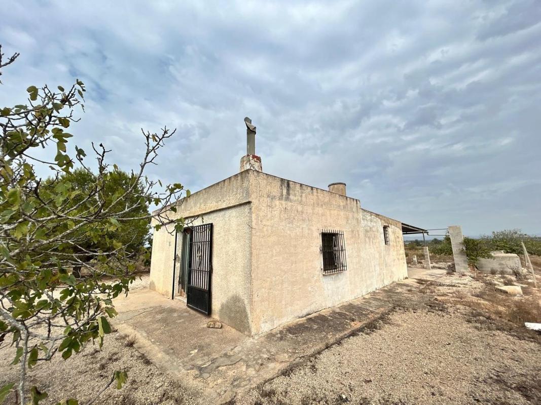 Sale of rural property in  Finca rústica en La Marina, Elche / Elx , Elche / Elx photo 5