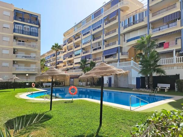 Studium na sprzedaż w Estudio en Avenida Costa Blanca, Arenales del Sol, Elche / Elx, Elche / Elx photo 1