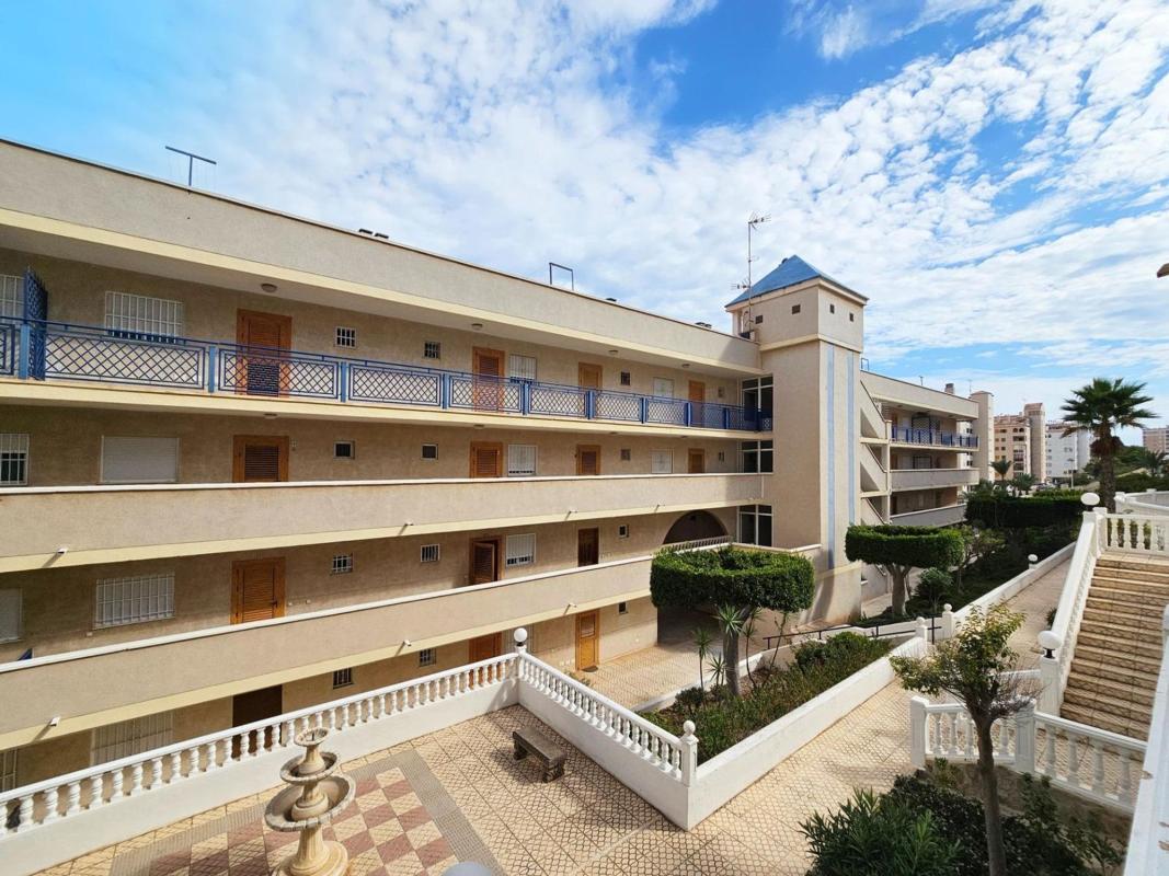Sprzedaż studia w Estudio en Avenida Costa Blanca, Arenales del Sol, Elche / Elx, Elche / Elx photo 3