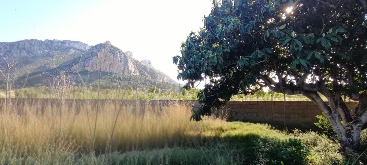 Продажа загородного участка в Finca rústica en El Verger , Эль Вергер photo 4