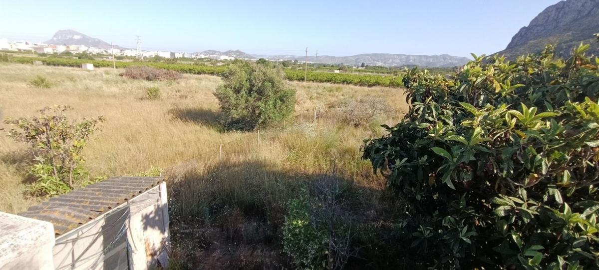 Продажа загородного участка в Finca rústica en El Verger , Эль Вергер photo 5