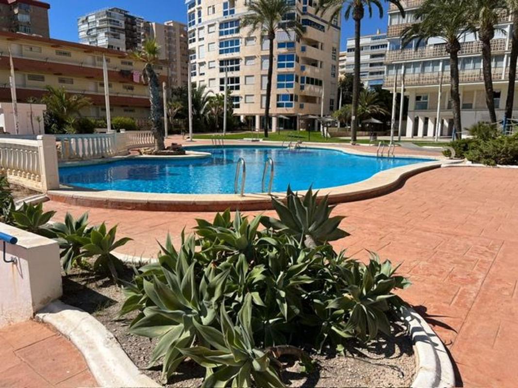 Sale of apartment in Piso en Avenida de la Costa Blanca, 132, Playa de San Juan, Alicante / Alacant, Alicante
 photo 3