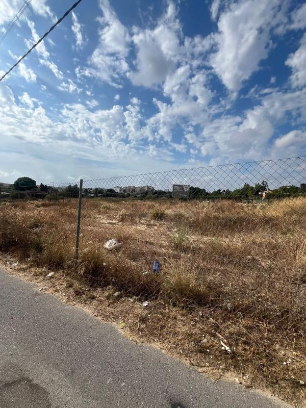 Terreno en venta en San Vicente del Raspeig, Alicante photo 3