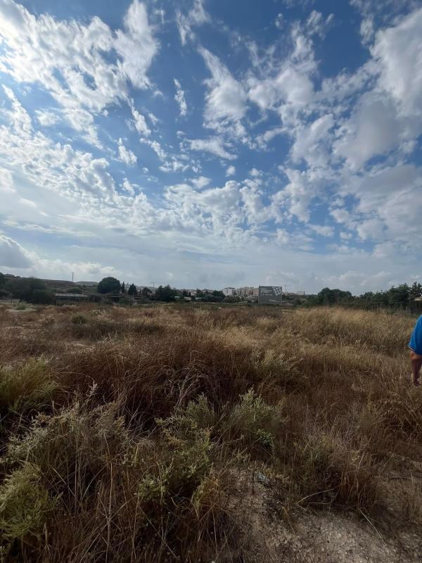 Terreno en venta en San Vicente del Raspeig, Alicante photo 5