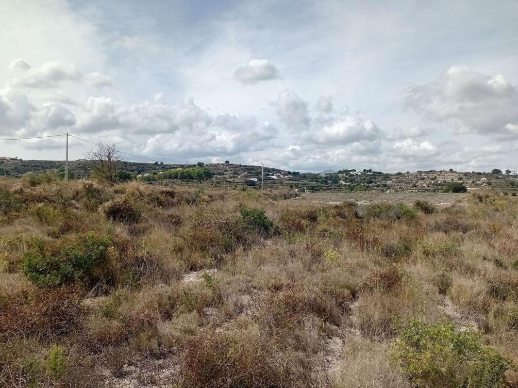 Land for sale in Alicante, Alicante photo 1