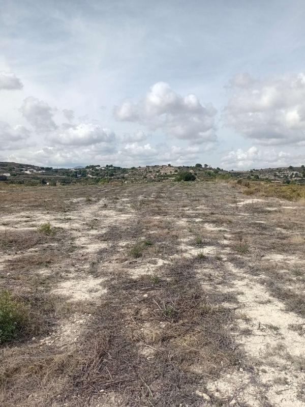 Land for sale in Alicante, Alicante photo 2