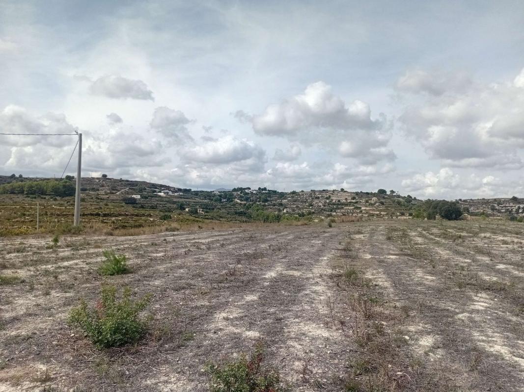 Land for sale in Alicante, Alicante photo 4