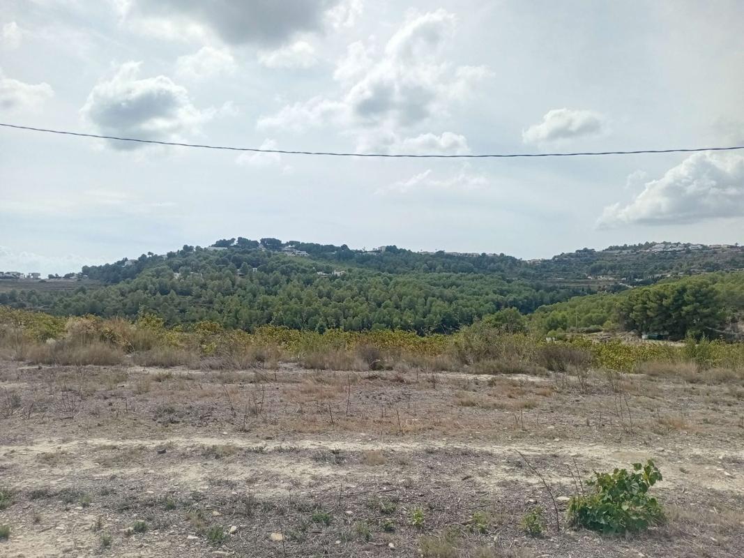 Land for sale in Alicante, Alicante photo 5