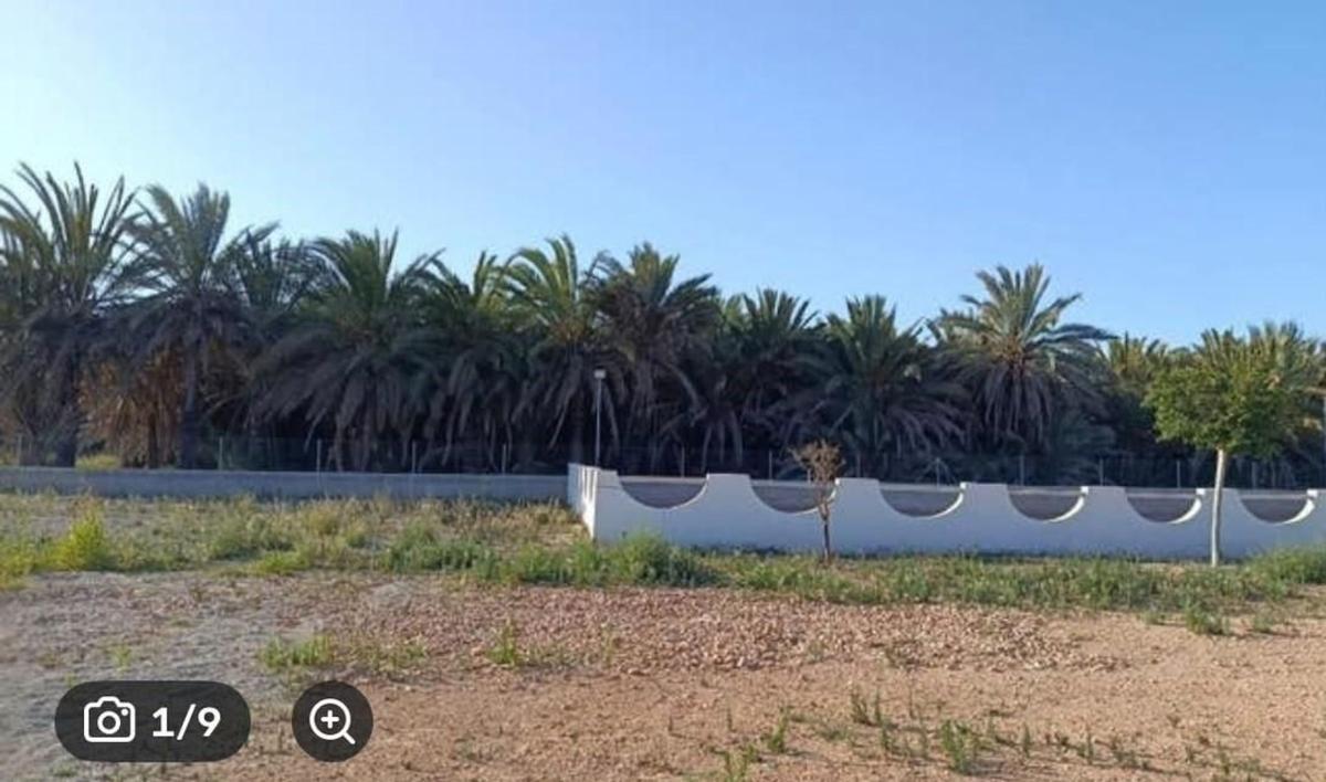 Terreno en venta en Catral, Alicante photo 1
