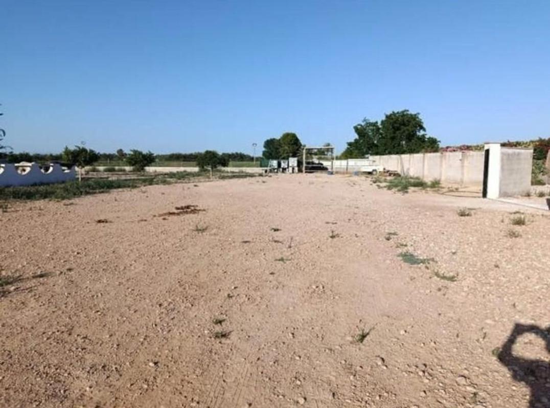 Terreno en venta en Catral, Alicante photo 3