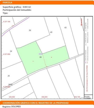 Terreno en Catral photo 4