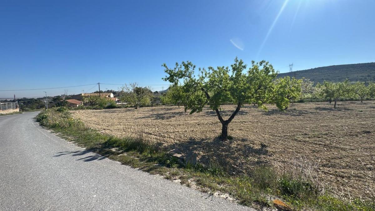 Land for sale in Elche / Elx, Alicante photo 1
