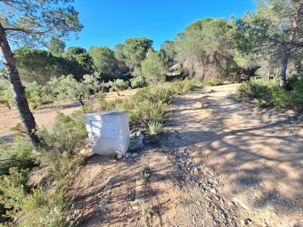 Terreno en Biar photo 3