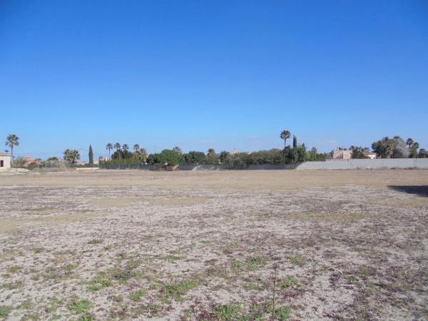 Terreno en Catral photo 1
