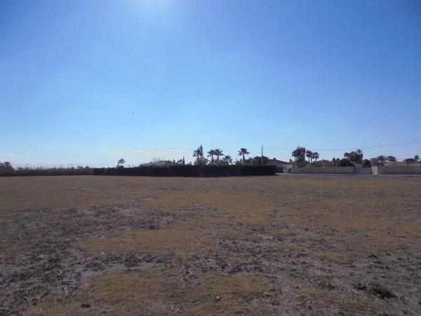 Terreno en Catral photo 2