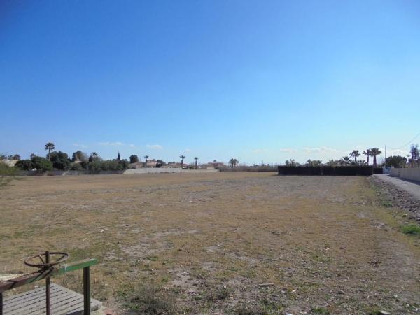 Terreno en Catral photo 3