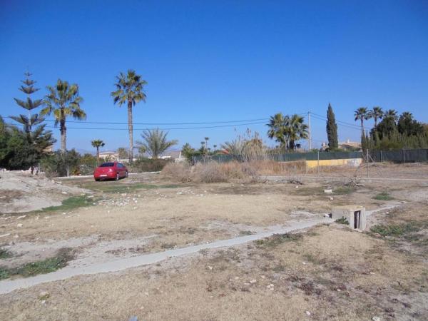 Terreno en Catral photo 4