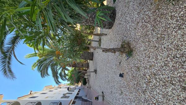 Studium na sprzedaż w Estudio en Cupido, 5, Torreblanca, Torrevieja, Torrevieja photo 2