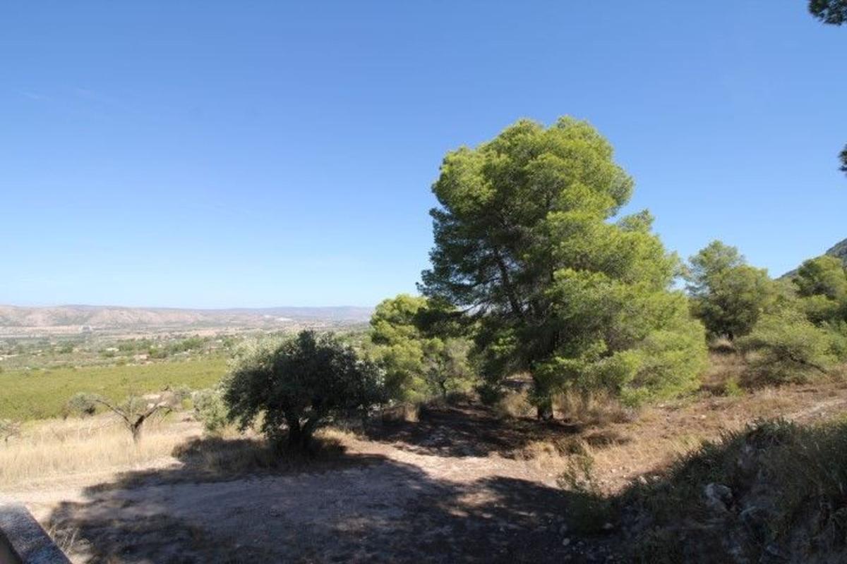 Propiedades en venta y alquiler en España photo 5