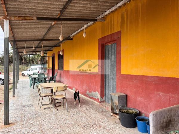Finca rústica en venta en Algoda-Matola-Llano de San José , Elche / Elx thumbnail 2